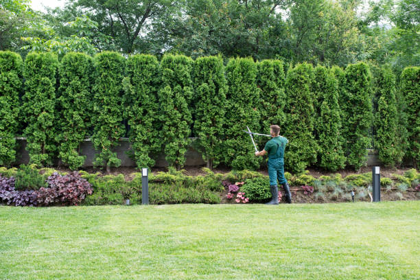 Best Pest Control for Lawns  in St Simons, GA